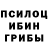 Псилоцибиновые грибы MAGIC MUSHROOMS adamtzsch,Logan Leslie