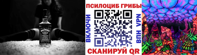 Галлюциногенные грибы Psilocybine cubensis Волхов